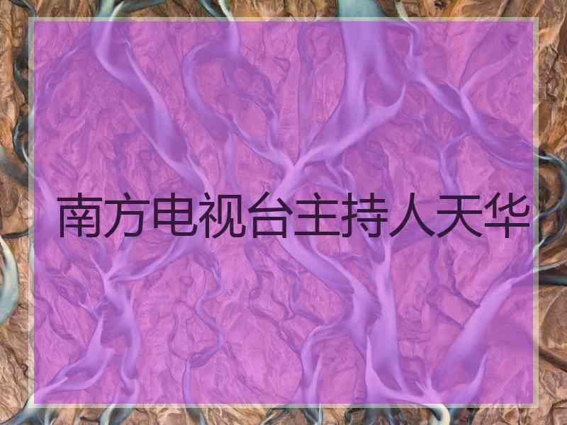 南方电视台主持人天华