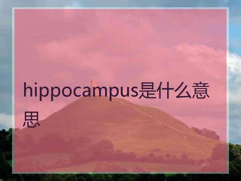 hippocampus是什么意思