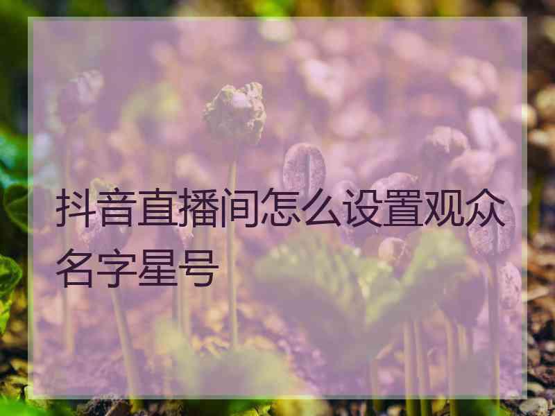 抖音直播间怎么设置观众名字星号 