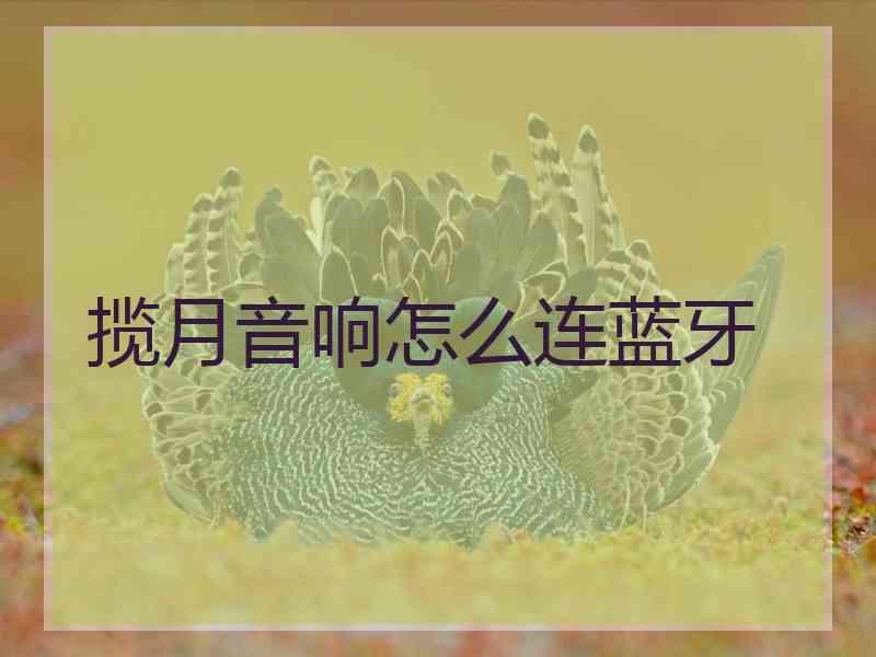 揽月音响怎么连蓝牙