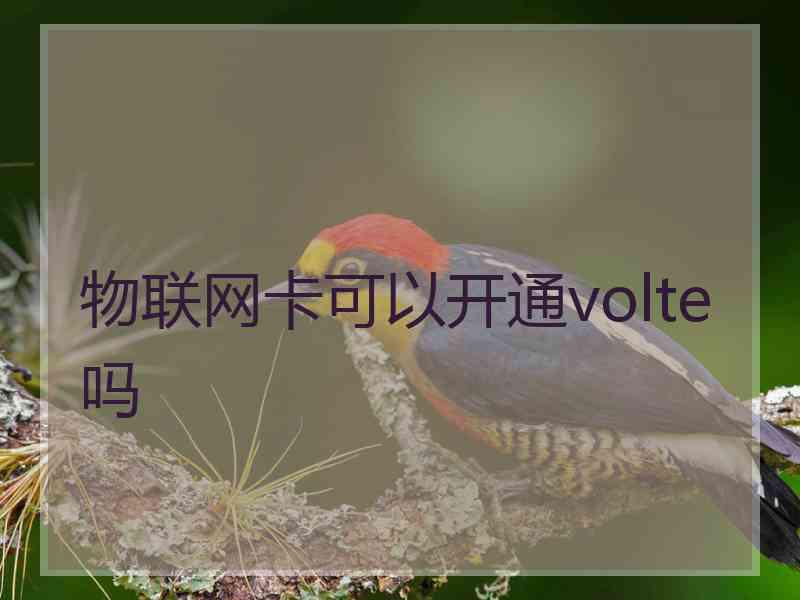 物联网卡可以开通volte吗