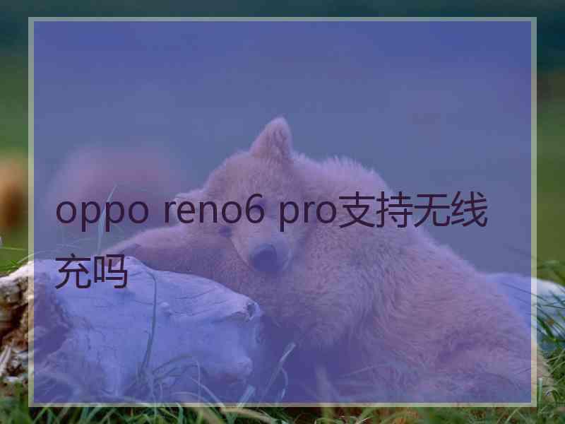 oppo reno6 pro支持无线充吗