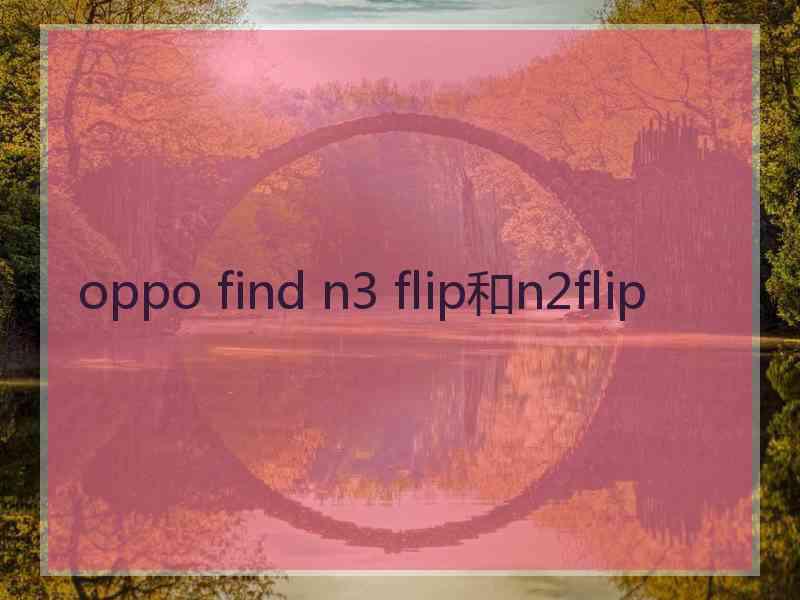 oppo find n3 flip和n2flip