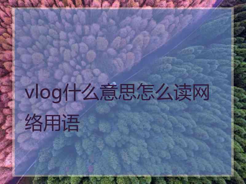 vlog什么意思怎么读网络用语