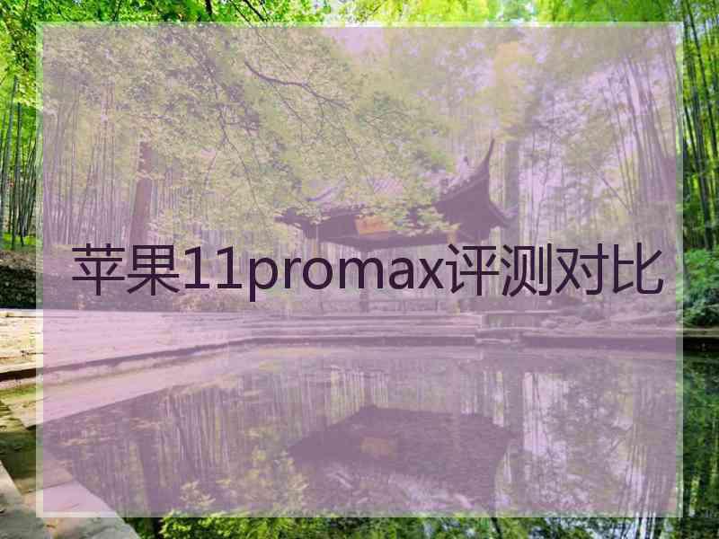 苹果11promax评测对比