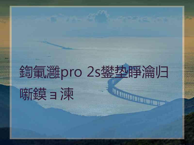 鍧氭灉pro 2s鐢垫睜瀹归噺鏌ョ湅