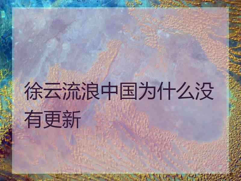 徐云流浪中国为什么没有更新