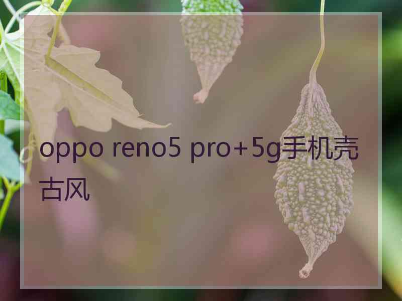 oppo reno5 pro+5g手机壳古风