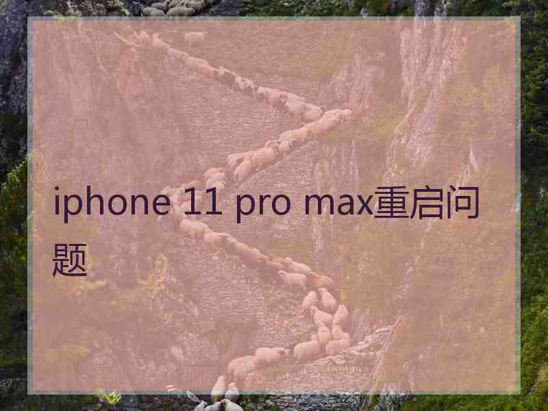 iphone 11 pro max重启问题