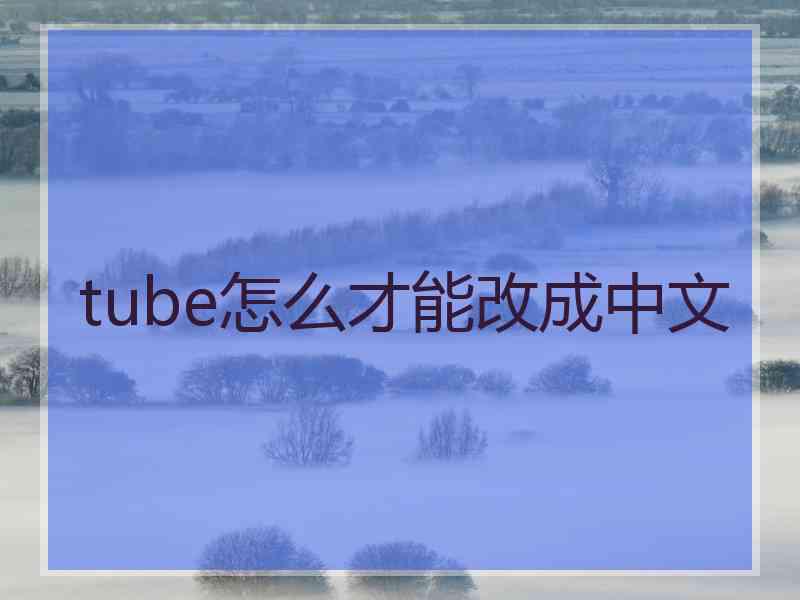 tube怎么才能改成中文