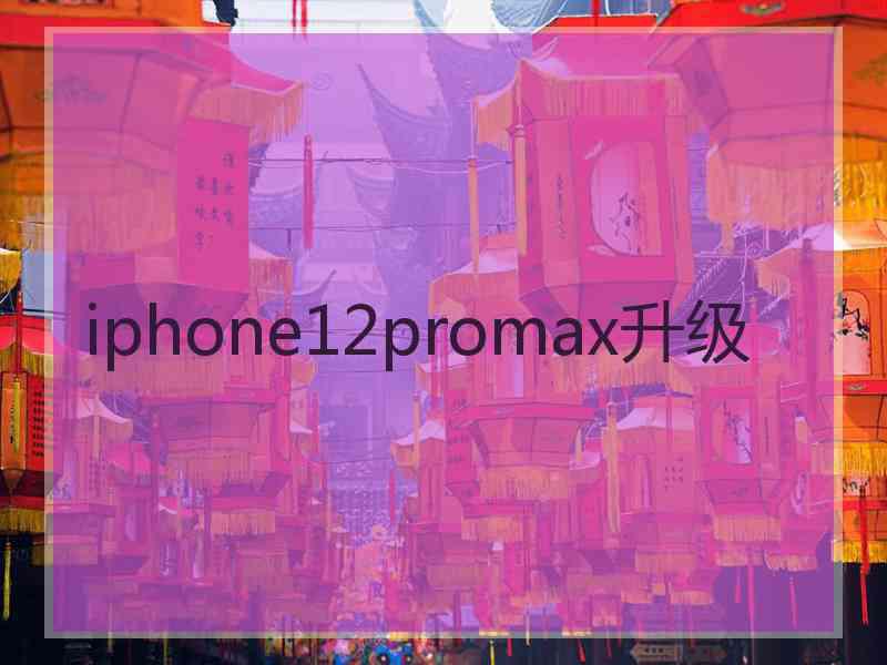 iphone12promax升级