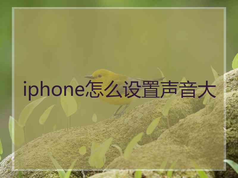 iphone怎么设置声音大