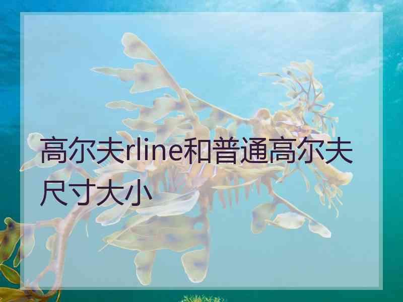 高尔夫rline和普通高尔夫尺寸大小