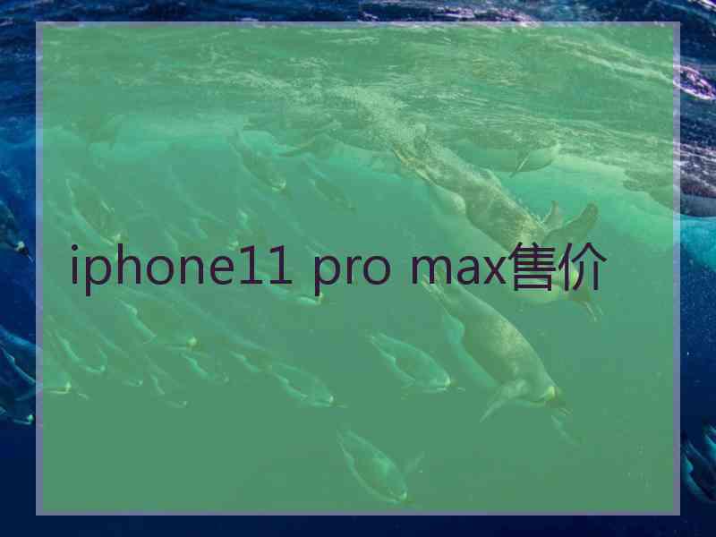 iphone11 pro max售价