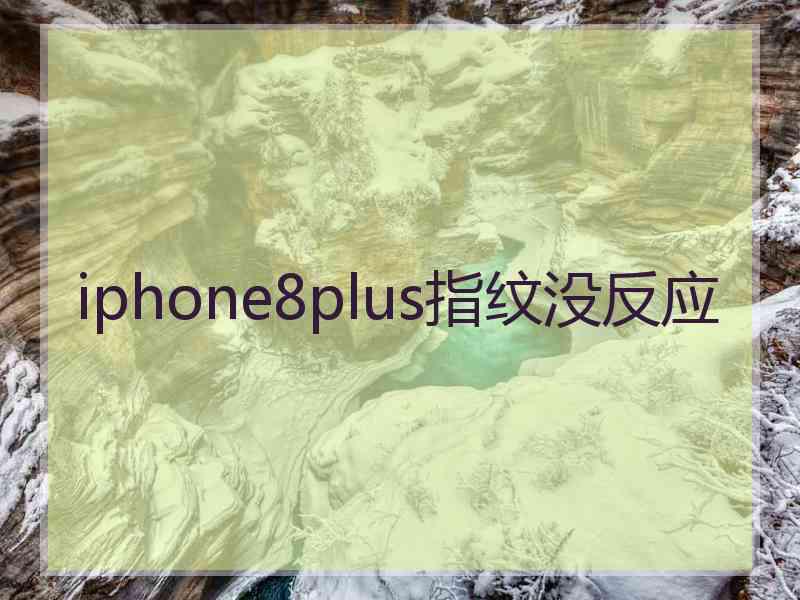 iphone8plus指纹没反应