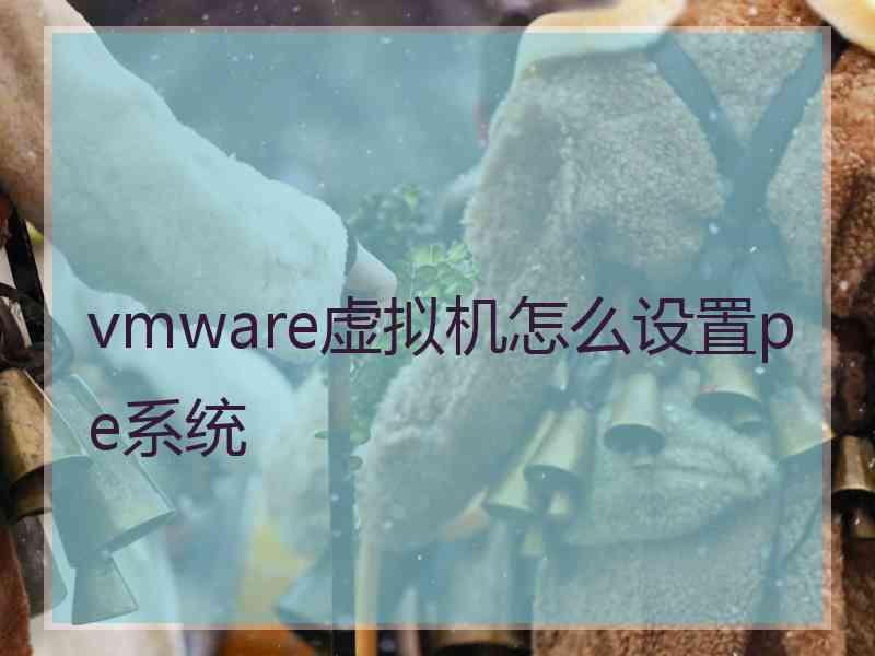 vmware虚拟机怎么设置pe系统