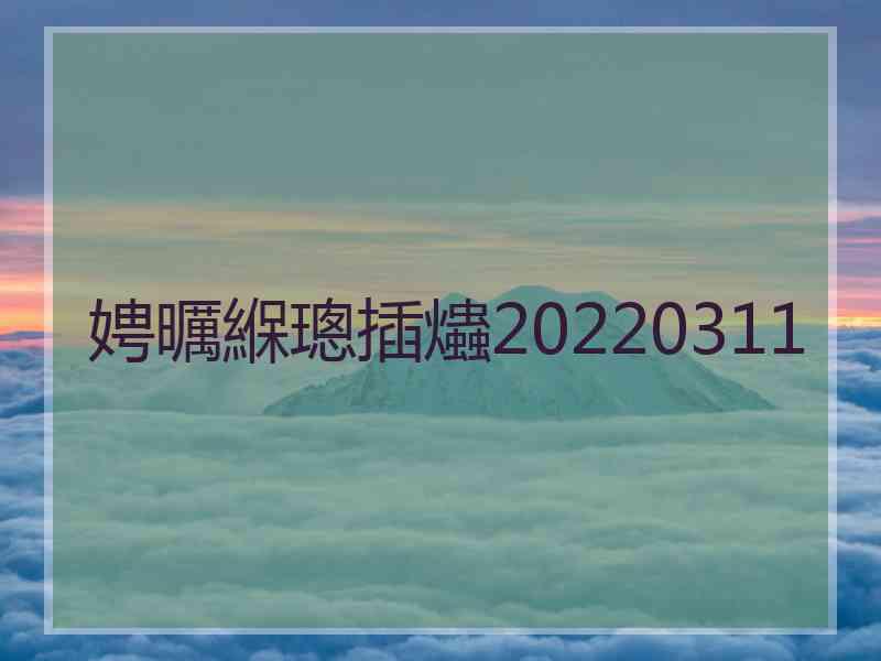 娉曞緥璁插爞20220311