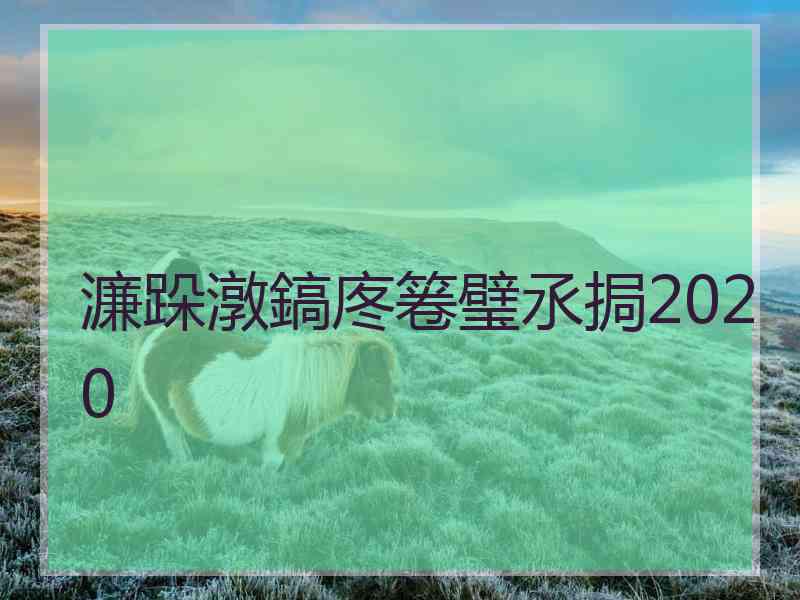 濂跺潡鎬庝箞璧氶挶2020