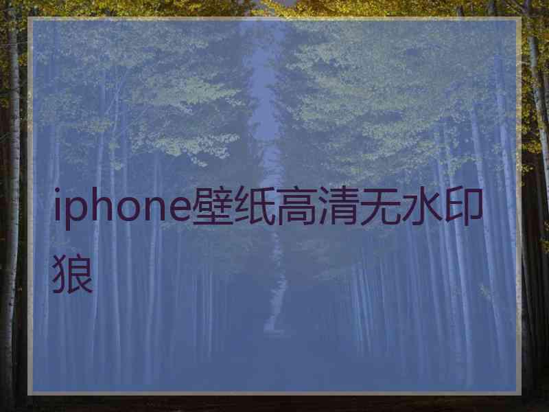 iphone壁纸高清无水印狼