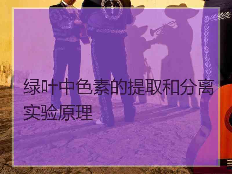 绿叶中色素的提取和分离实验原理