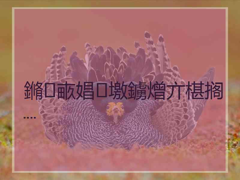 鏅畞娼墽鐪熷亣椹搁┈