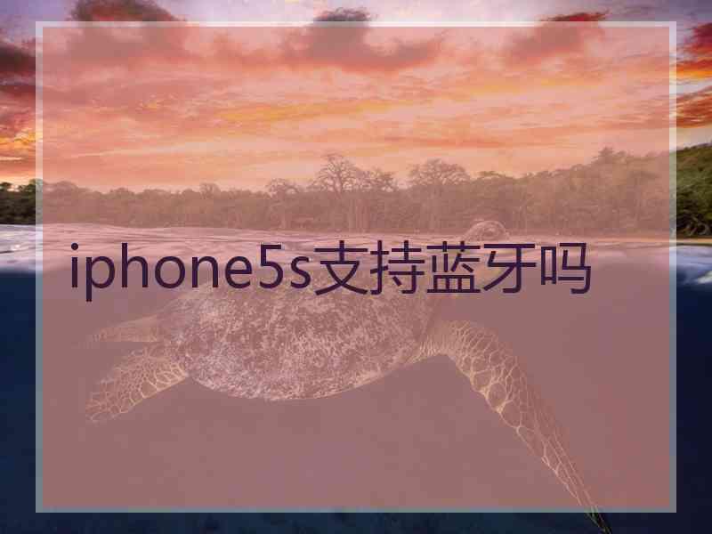 iphone5s支持蓝牙吗