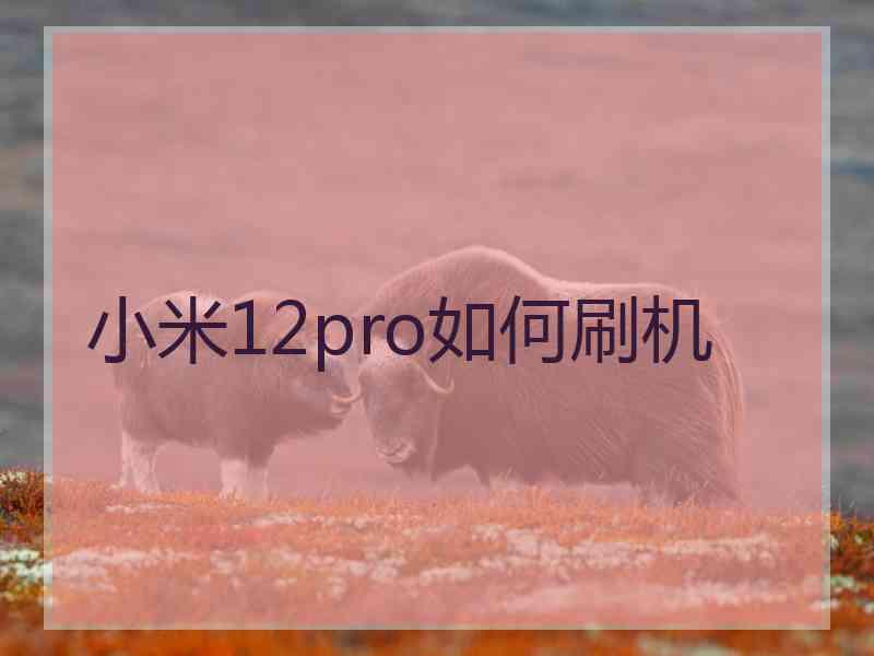 小米12pro如何刷机