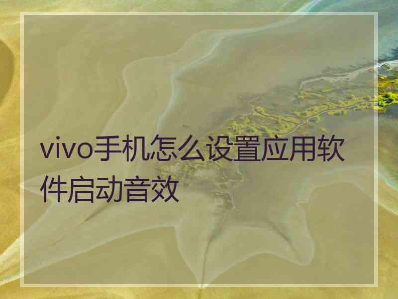 vivo手机怎么设置应用软件启动音效