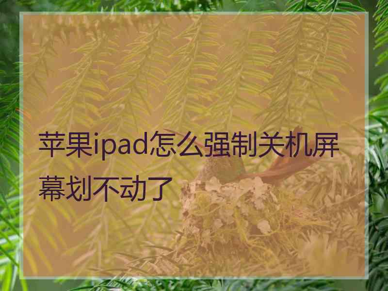 苹果ipad怎么强制关机屏幕划不动了