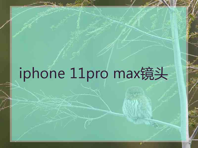 iphone 11pro max镜头