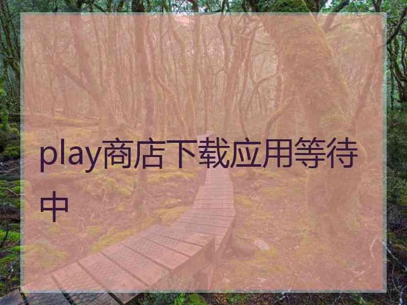 play商店下载应用等待中