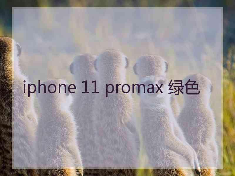 iphone 11 promax 绿色