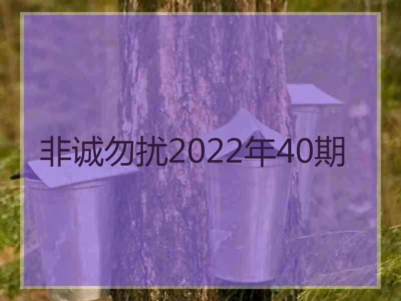 非诚勿扰2022年40期