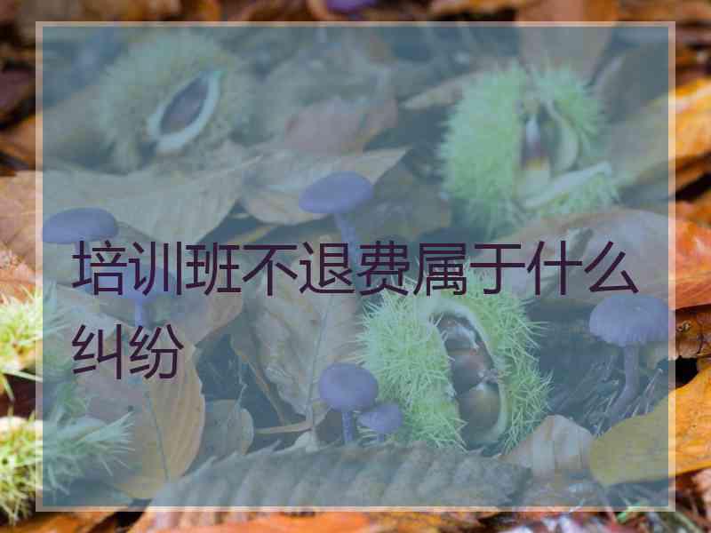 培训班不退费属于什么纠纷