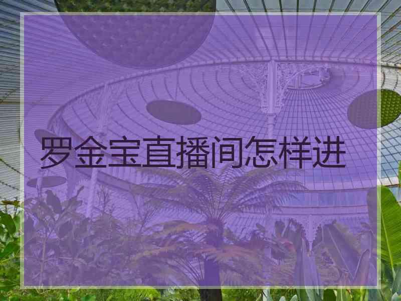 罗金宝直播间怎样进