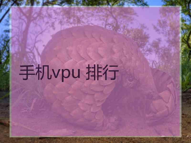 手机vpu 排行