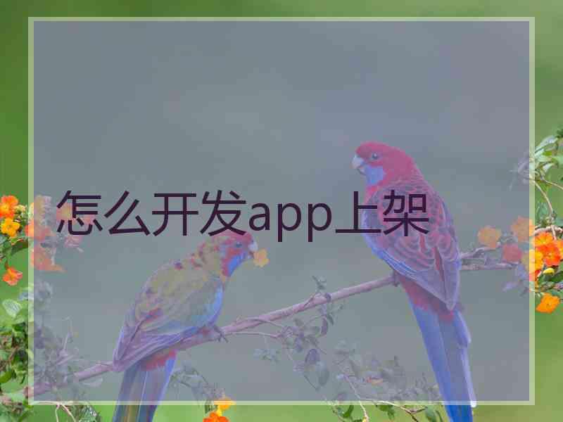 怎么开发app上架