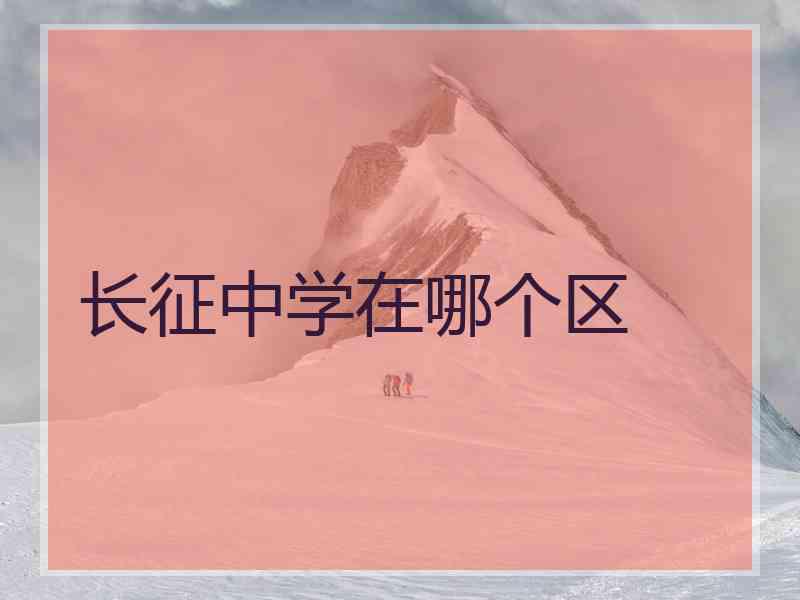 长征中学在哪个区