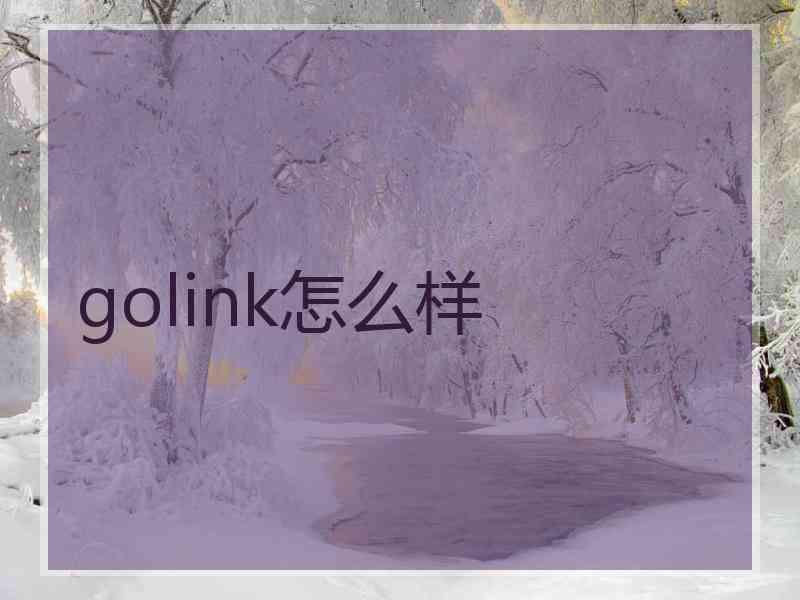 golink怎么样