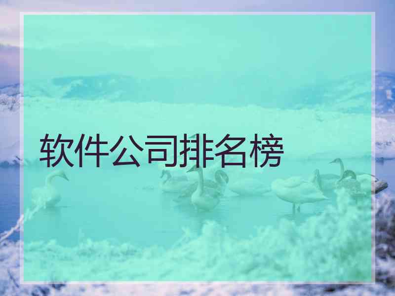 软件公司排名榜