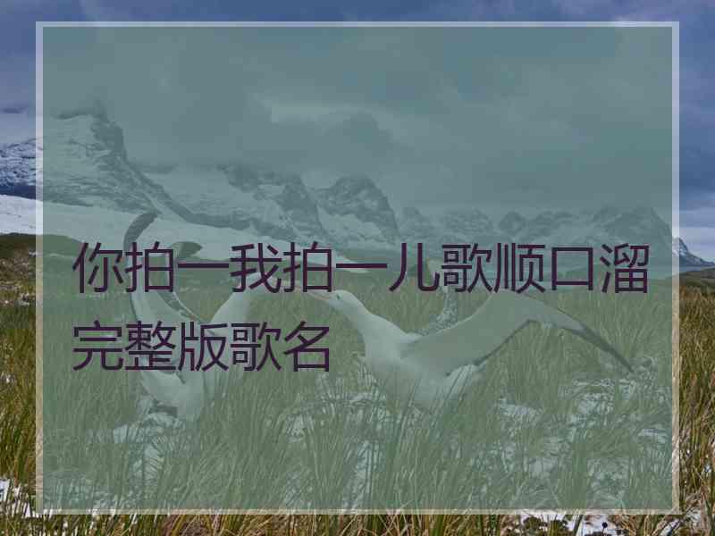 你拍一我拍一儿歌顺口溜完整版歌名