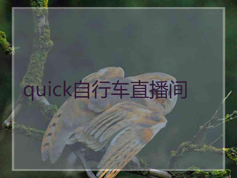 quick自行车直播间