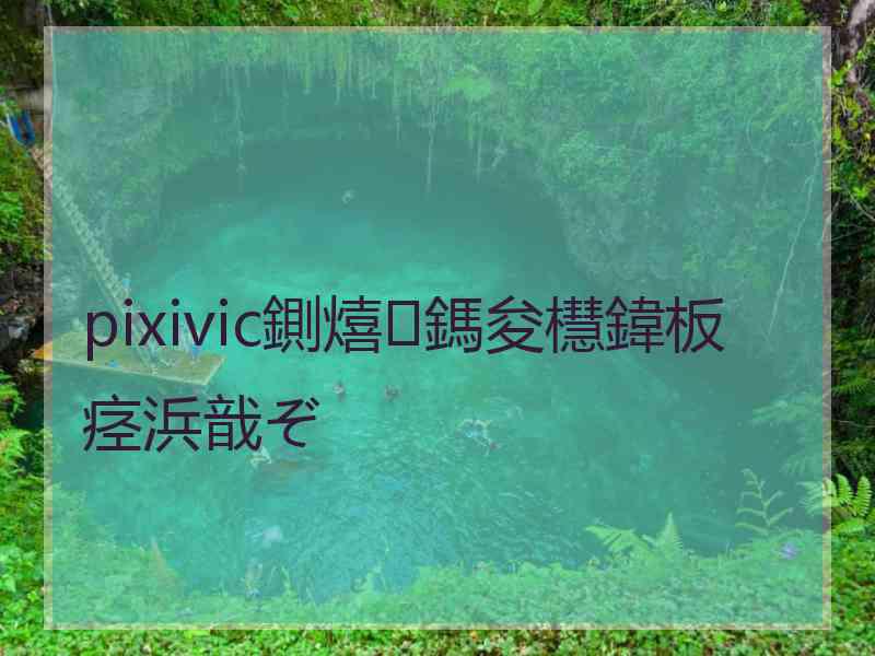 pixivic鍘熺鎷夋櫘鍏板痉浜戠ぞ