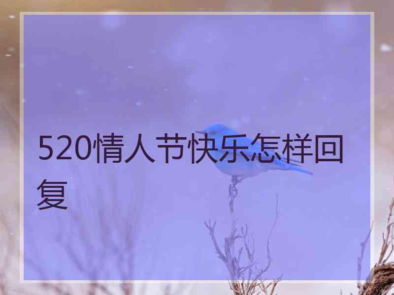 520情人节快乐怎样回复