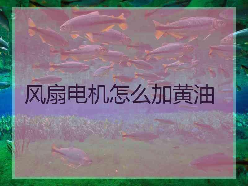 风扇电机怎么加黄油