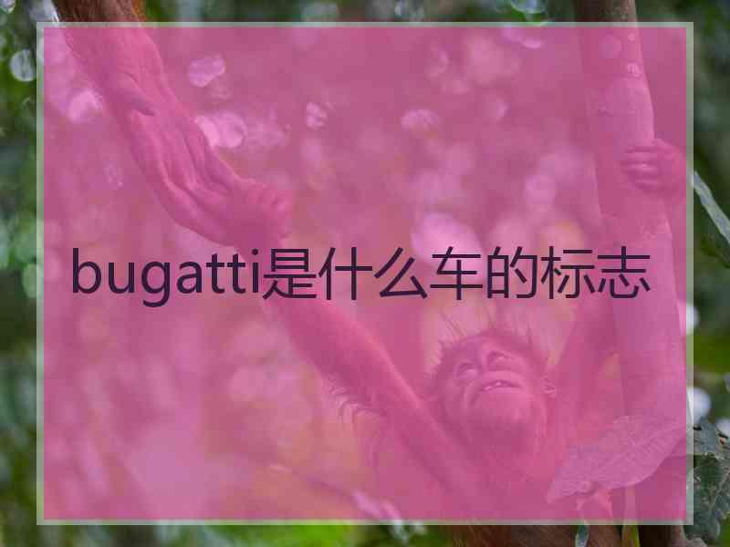 bugatti是什么车的标志