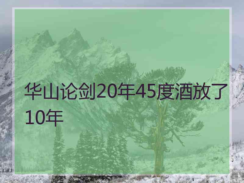 华山论剑20年45度酒放了10年