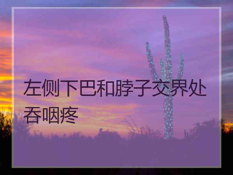 左侧下巴和脖子交界处吞咽疼