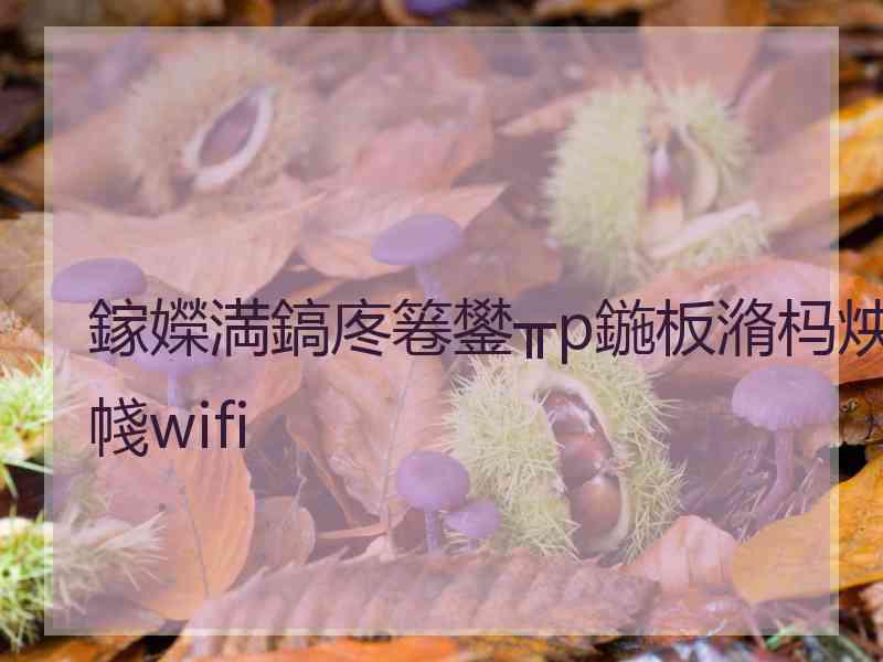 鎵嬫満鎬庝箞鐢╥p鍦板潃杩炴帴wifi