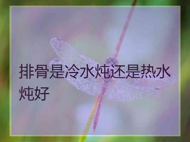 排骨是冷水炖还是热水炖好